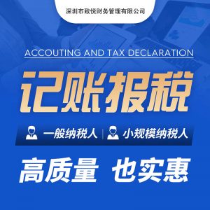 代理记账深圳广州东莞惠州记账报税一般纳税人税务申报会计代做账深圳会计公司财务公司代理做账报税零申报个体户小规模纳税人外账内帐